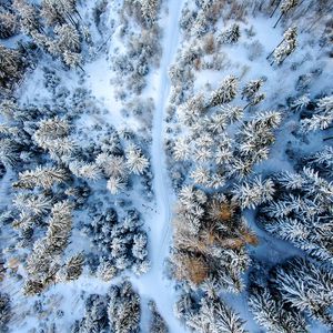 Превью обои зимний лес, дорога, вид сверху, снег