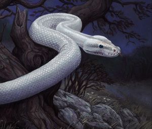 Превью обои змея, дерево, камни, ночь