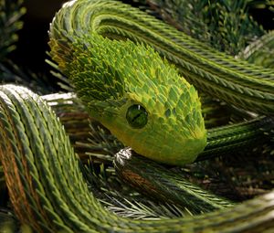 Превью обои змея, зеленый, рептилия, чешуя, 3d