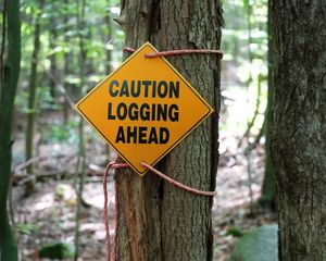 Превью обои знак, предупреждение, слова, дерево, лес