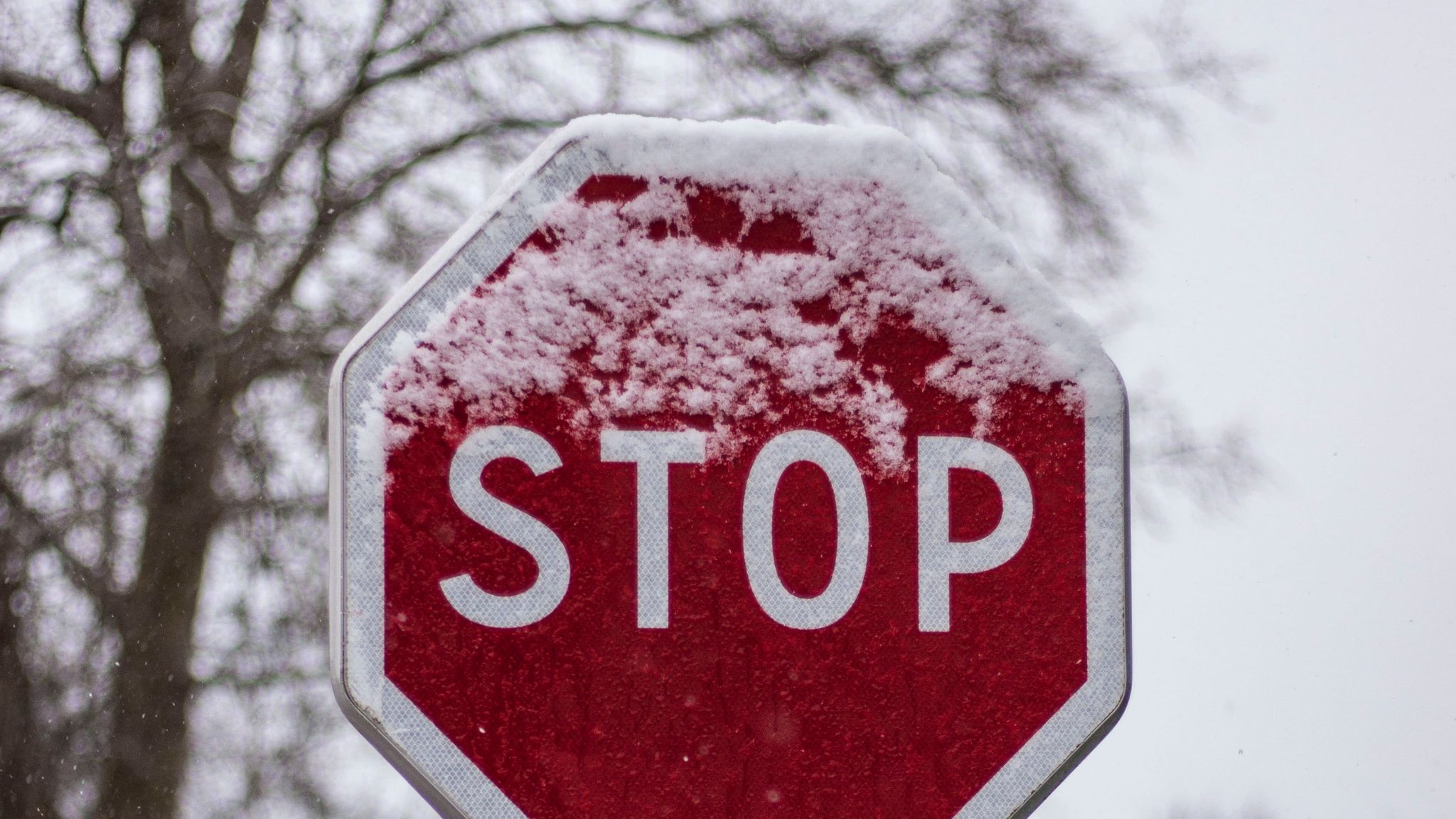 Дорожный знак в снегу