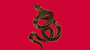 Превью обои знак зодиака, змея, минимализм, вектор