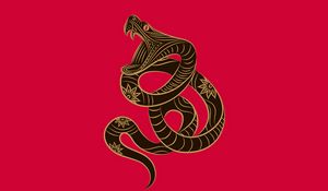 Превью обои знак зодиака, змея, минимализм, вектор