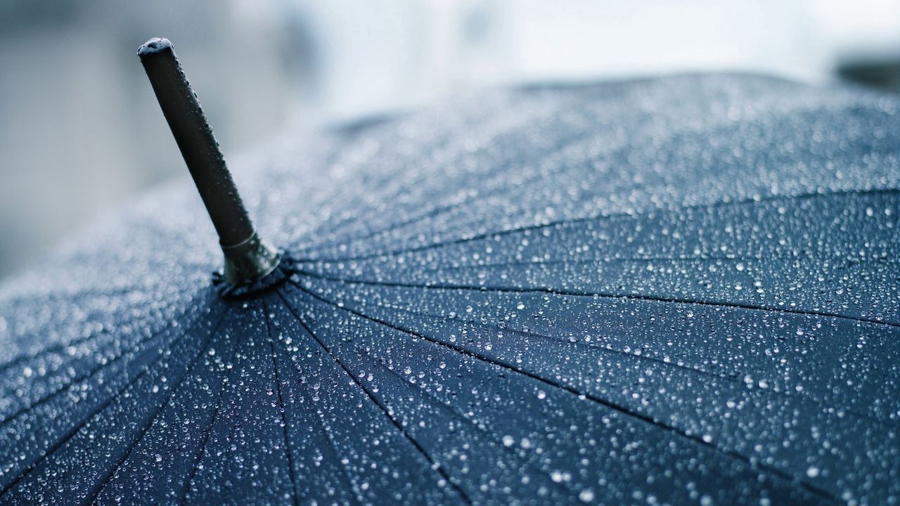 Обои зонт, дождь, капли, трость, пасмурно, осадки