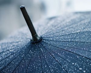 Превью обои зонт, дождь, капли, трость, пасмурно, осадки