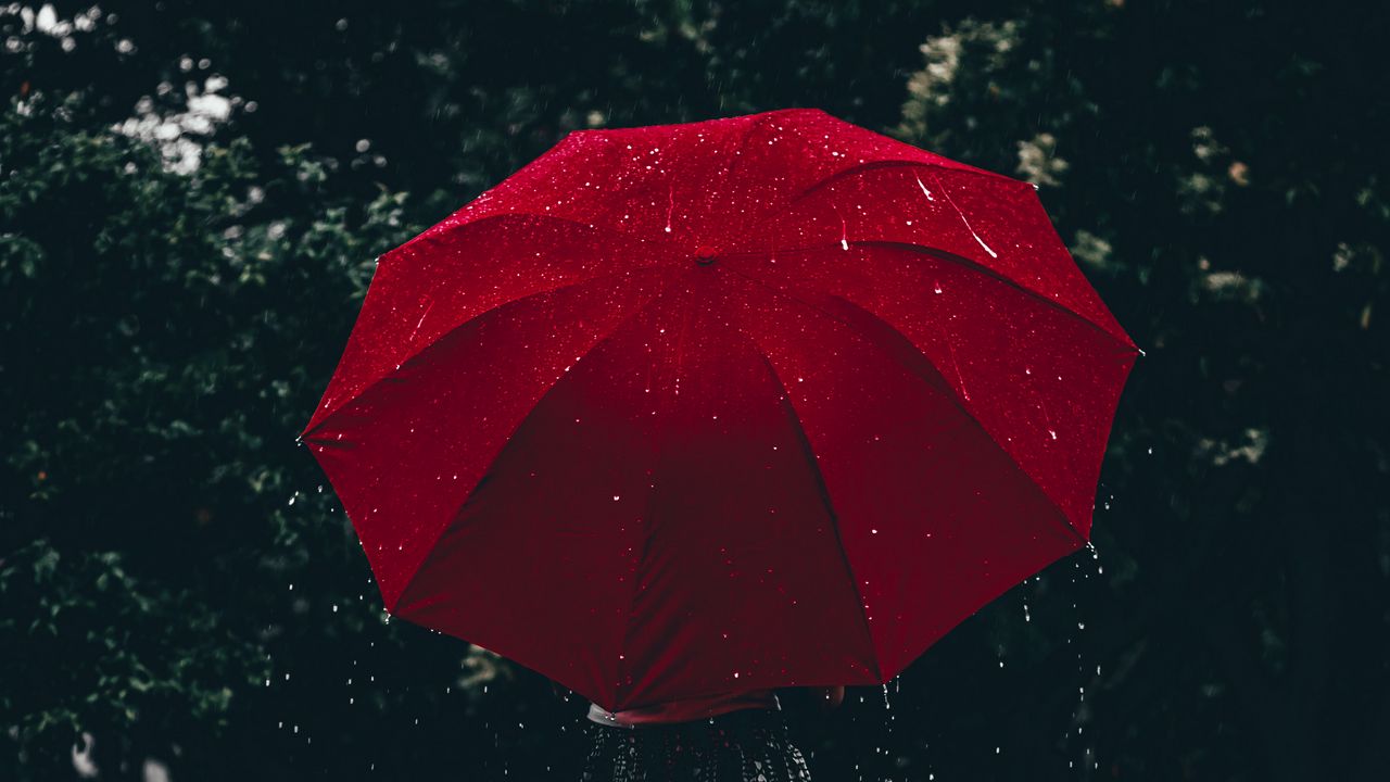 Обои зонт, красный, девушка, дождь