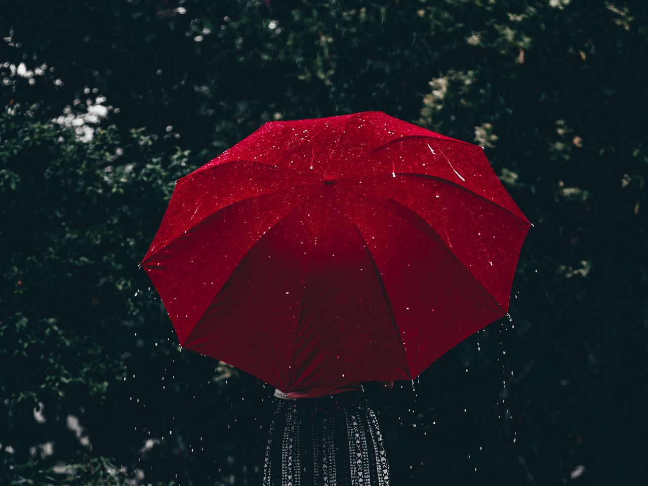 Красивые зонтики картинки