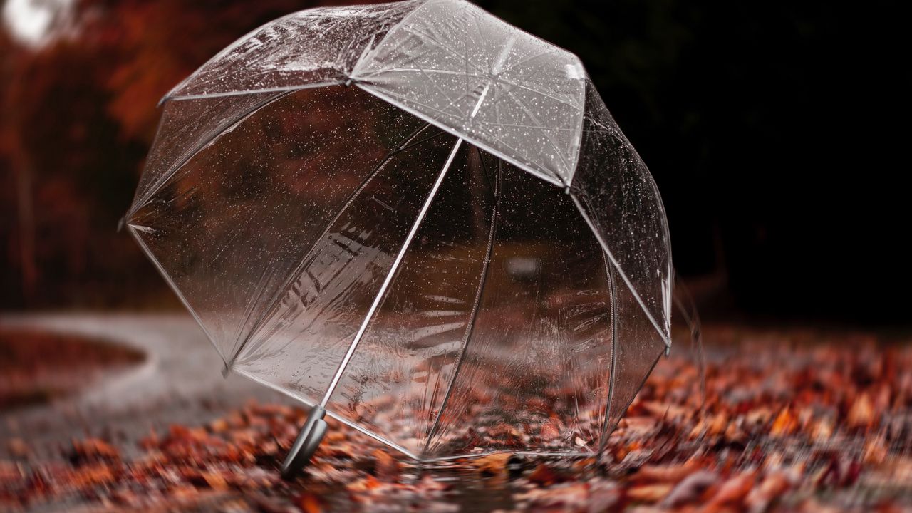 Обои зонт, осень, дождь, листва