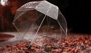 Превью обои зонт, осень, дождь, листва