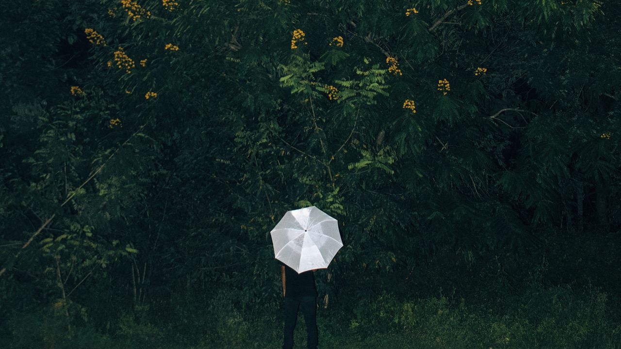 Обои зонт, трава, человек, цветы, одиночество