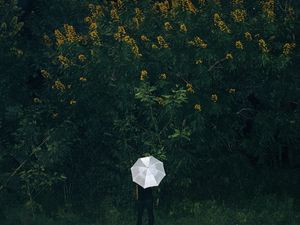 Превью обои зонт, трава, человек, цветы, одиночество