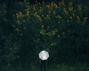 Превью обои зонт, трава, человек, цветы, одиночество