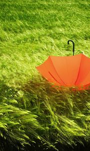 Превью обои зонт, трава, поле, ветер, непогода