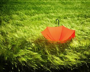 Превью обои зонт, трава, поле, ветер, непогода
