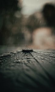 Превью обои зонтик, дождь, капли, макро