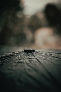 Превью обои зонтик, дождь, капли, макро