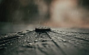 Превью обои зонтик, дождь, капли, макро