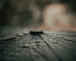 Превью обои зонтик, дождь, капли, макро
