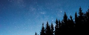 Превью обои звездное небо, деревья, ель, ночь