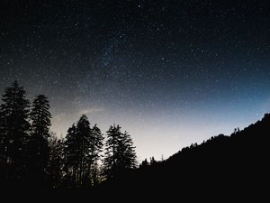 Превью обои звездное небо, деревья, небо, ночь, блеск