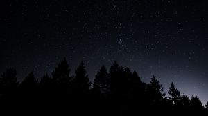 Превью обои звездное небо, деревья, ночь, сияние