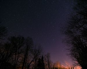 Превью обои звездное небо, деревья, ночь, звезды