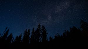 Превью обои звездное небо, деревья, ночь, сияние