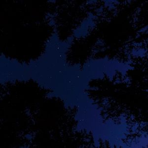 Превью обои звездное небо, деревья, ночь, вид снизу