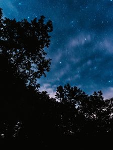 Превью обои звездное небо, деревья, ночь, звезды, облака, темный