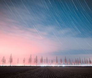 Превью обои звездное небо, деревья, ночь, небо, звезды