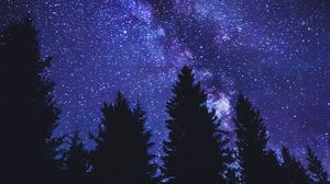 Превью обои звездное небо, деревья, силуэт, ночь, темный