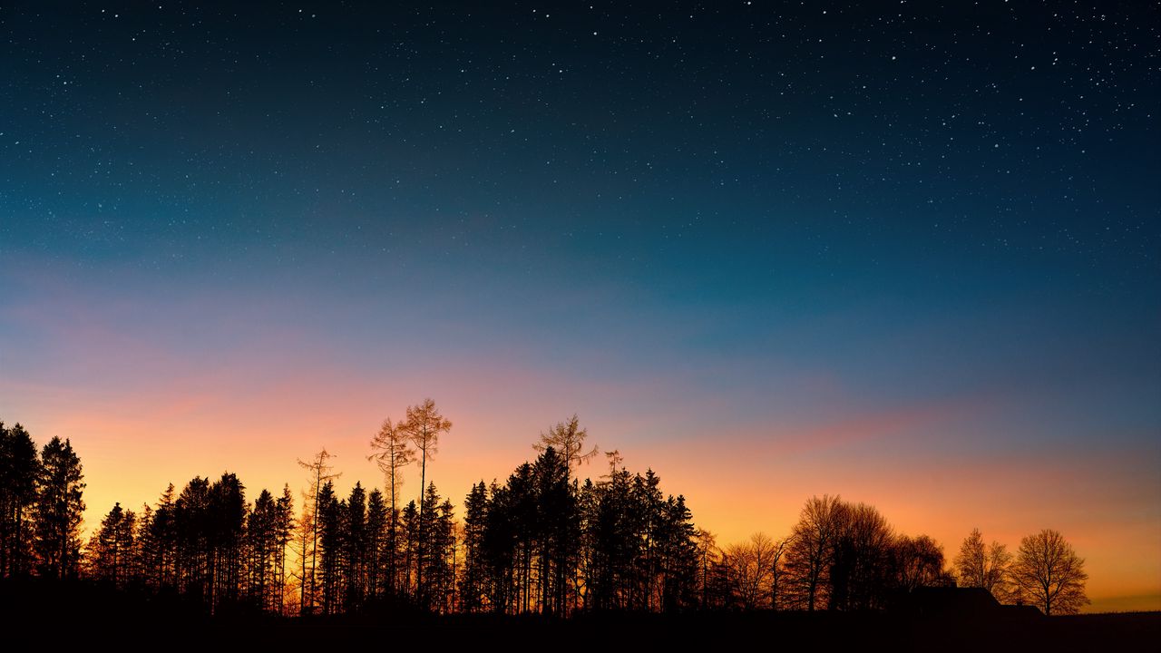 Обои звездное небо, деревья, закат, ночь, лес