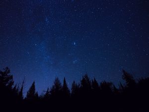 Превью обои звездное небо, деревья, звезды, ночь, ели, очертания