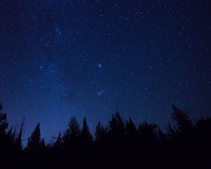Превью обои звездное небо, деревья, звезды, ночь, ели, очертания