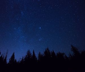 Превью обои звездное небо, деревья, звезды, ночь, ели, очертания