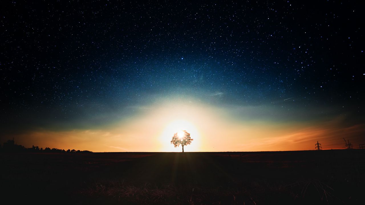 Обои звездное небо, дерево, одинокий, закат
