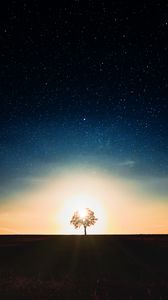 Превью обои звездное небо, дерево, одинокий, закат