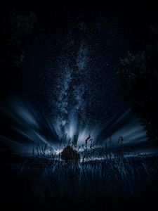 Превью обои звездное небо, дерево, трава, ночь