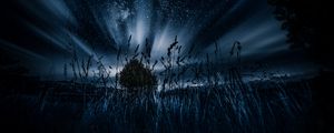 Превью обои звездное небо, дерево, трава, ночь