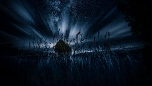 Превью обои звездное небо, дерево, трава, ночь