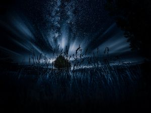 Превью обои звездное небо, дерево, трава, ночь