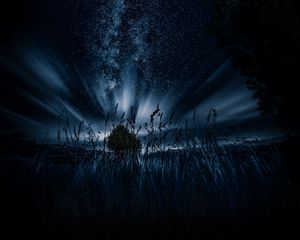 Превью обои звездное небо, дерево, трава, ночь