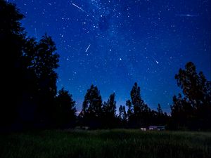 Превью обои звездное небо, кометы, деревья, ночь