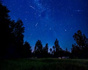 Превью обои звездное небо, кометы, деревья, ночь