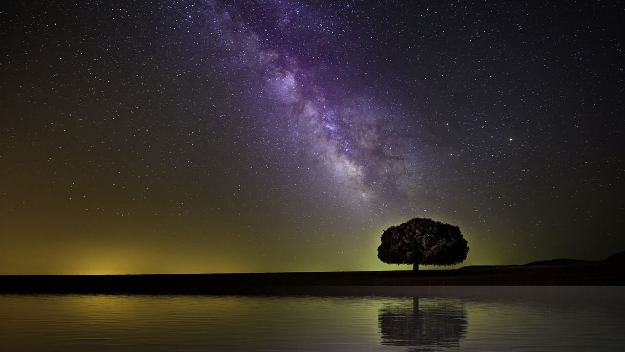 Обои звездное небо, млечный путь, дерево, горизонт, берег, ночь