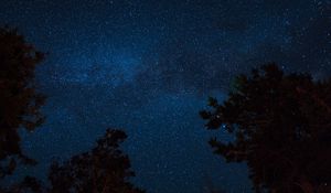 Превью обои звездное небо, ночь, деревья, звезды