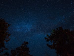 Превью обои звездное небо, ночь, деревья, звезды