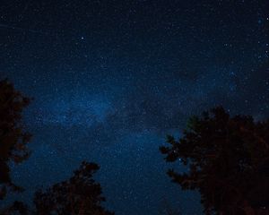 Превью обои звездное небо, ночь, деревья, звезды