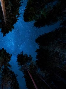 Превью обои звездное небо, ночь, деревья, звезды