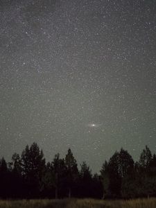 Превью обои звездное небо, ночь, деревья, горизонт